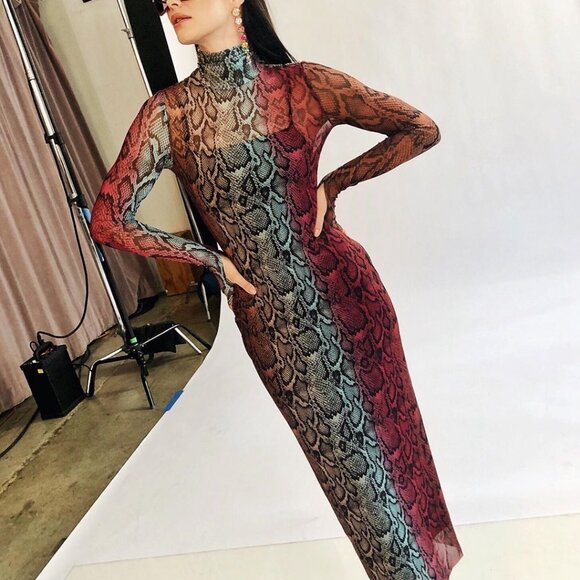 AFRM Shailene Long Sleeve Print Mesh Dress In Snake Ombre (XL) - Picture 1 of 5